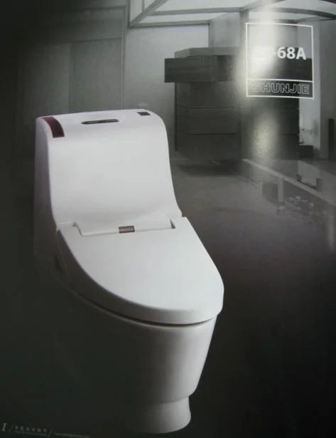 Electric bidet